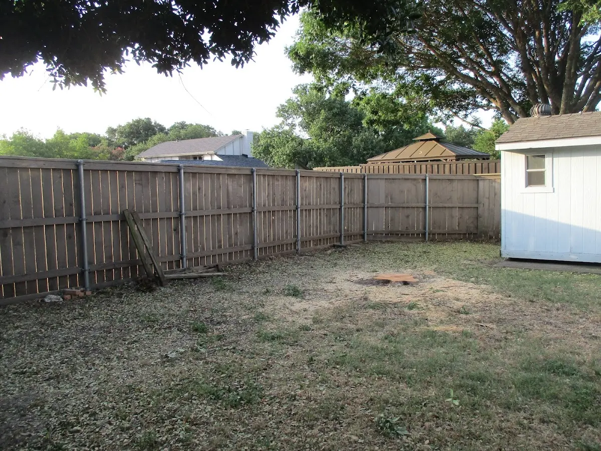 Cleared yard after professional tree removal in Rio Grande